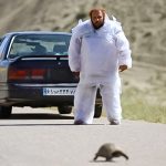 فیلم کوتاه «تاکسیدرمیست» به نویسندگی و کارگردانی سوسن سلامت و بهزاد علوی