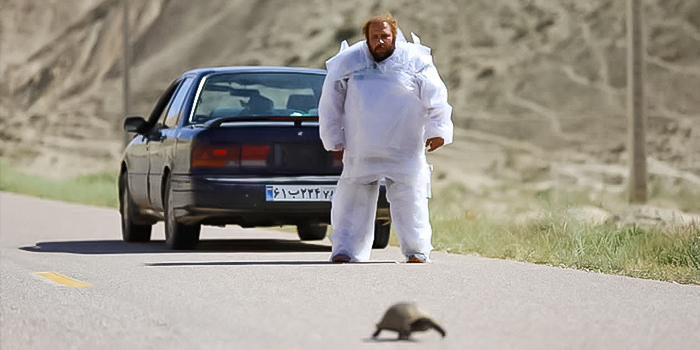 تحلیل فیلم کوتاه «تاکسیدرمیست»